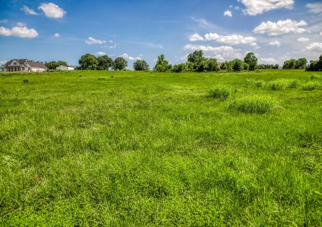 Photo 4 of Land for sale at 1070 Sledge Ct, Chappell Hill, TX 77426 | MLS# 43778430 | Listing updated on 2026-09-22
