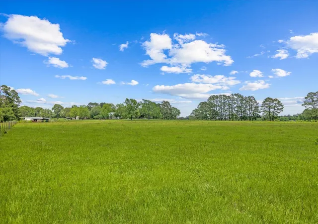 3rd image of Tbd 3 Fm 1632, Woodville, TX 75979 | MLS# 78718537