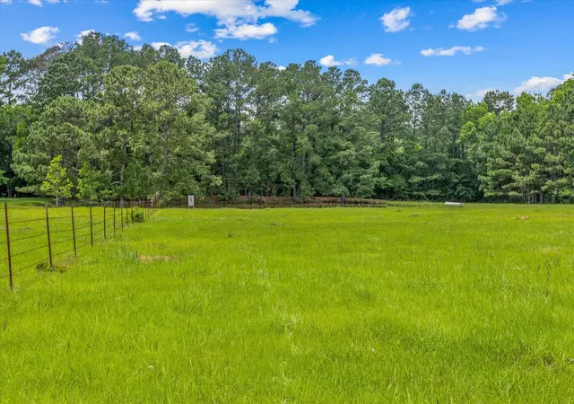 4th image of Tbd 3 Fm 1632, Woodville, TX 75979 | MLS# 78718537
