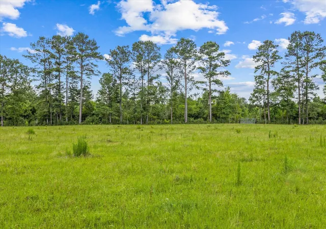5th image of Tbd 3 Fm 1632, Woodville, TX 75979 | MLS# 78718537