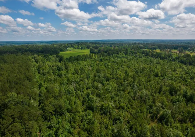 9th image of Tbd 3 Fm 1632, Woodville, TX 75979 | MLS# 78718537