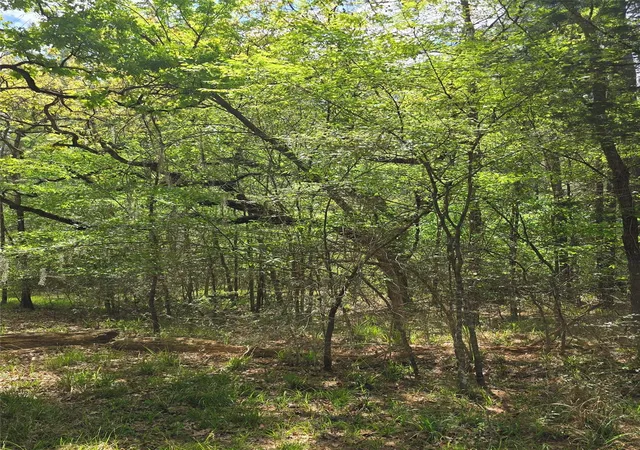 Photo 10 of Land for sale at 0 Elm Dr, Huntsville, TX 77320 | MLS# 32072009 | Listing updated on 2026-04-19