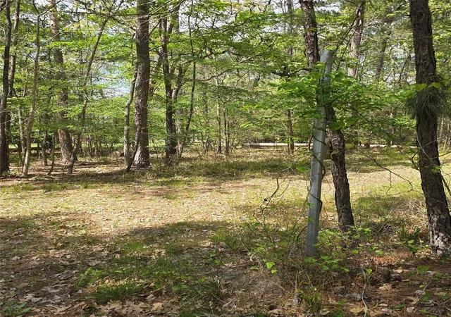 Photo 2 of Land for sale at 0 Elm Dr, Huntsville, TX 77320 | MLS# 32072009 | Listing updated on 2026-04-19