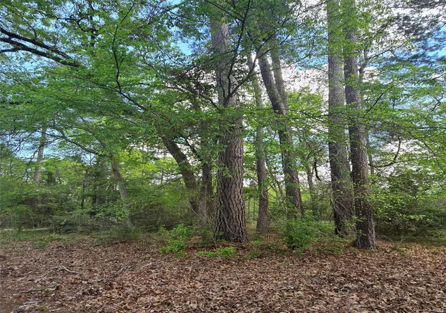 Photo 3 of Land for sale at 0 Elm Dr, Huntsville, TX 77320 | MLS# 32072009 | Listing updated on 2026-04-19