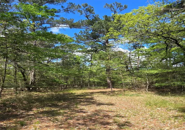 Photo 4 of Land for sale at 0 Elm Dr, Huntsville, TX 77320 | MLS# 32072009 | Listing updated on 2026-04-19