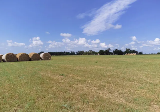 5th image of Tbd Falke Heinrich Road Tract 1, Schulenburg, TX 78956 | MLS# 80829055