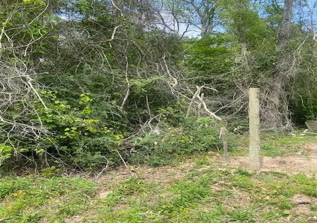 2nd image of 0 Robin Hood Ln, Shepherd, TX 77371 | MLS# 88051330