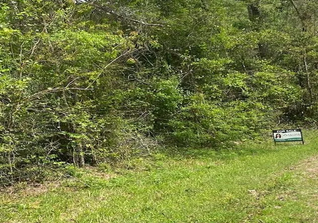 5th image of 0 Robin Hood Ln, Shepherd, TX 77371 | MLS# 88051330