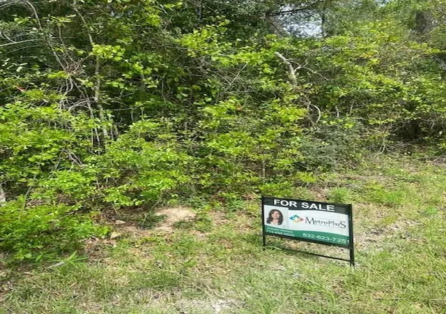 6th image of 0 Robin Hood Ln, Shepherd, TX 77371 | MLS# 88051330
