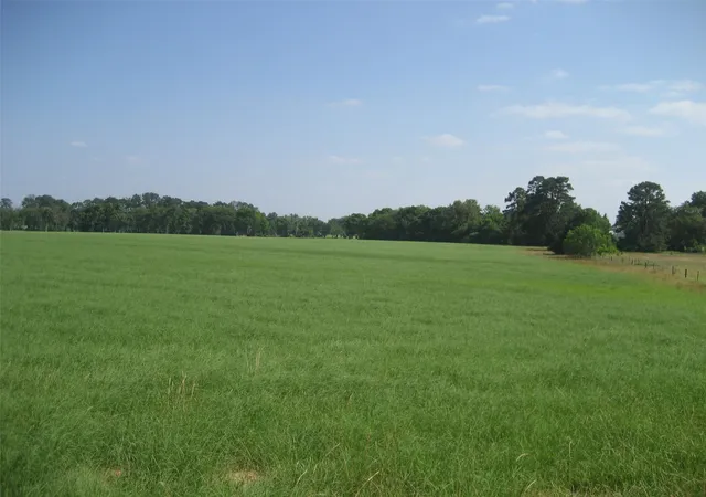 1st image of 00 Cr 1890, Grapeland, TX 75844 | MLS# 83503012