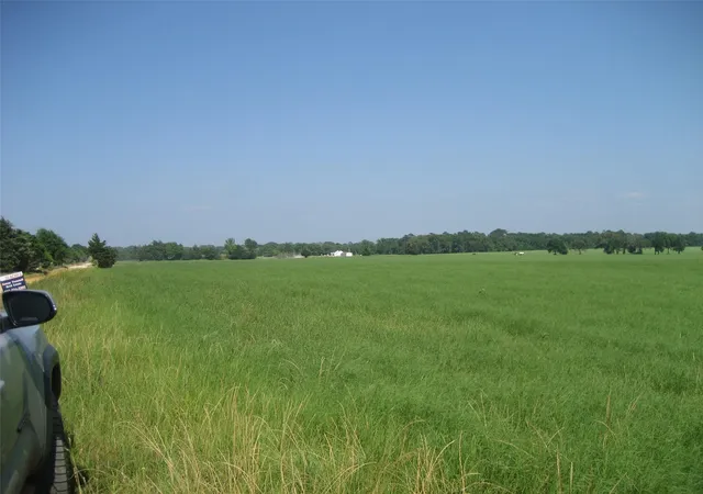 4th image of 00 Cr 1890, Grapeland, TX 75844 | MLS# 83503012