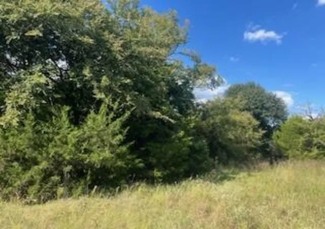 Homes for sale in Jewett, TX | Tbd Lcr 898, Jewett, TX 75846 | MLS# 70310243