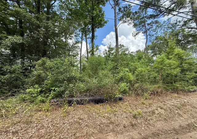 1st image of 1030 Butler Rd, Vidor, TX 77662 | MLS# 40734828