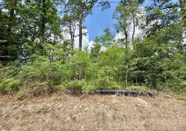 Photo 3 of Land for sale at 1030 Butler Rd, Vidor, TX 77662 | MLS# 40734828 | Listing updated on 2026-07-20
