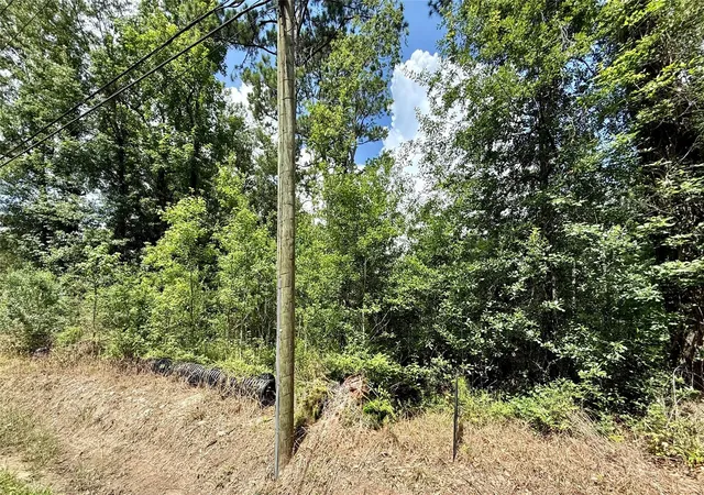 4th image of 1030 Butler Rd, Vidor, TX 77662 | MLS# 40734828