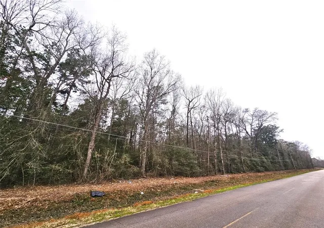 2nd image of Tbd Rolling Hills Dr, Porter, TX 77365 | MLS# 55874674