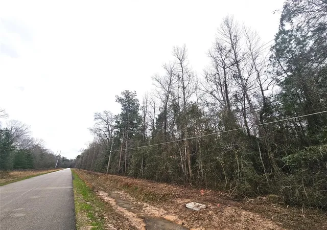 3rd image of Tbd Rolling Hills Dr, Porter, TX 77365 | MLS# 55874674