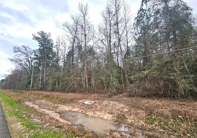 4th image of Tbd Rolling Hills Dr, Porter, TX 77365 | MLS# 55874674