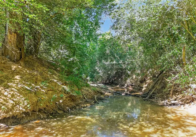 Photo 3 of Land for sale at 6517 State Hwy 21 W, Crockett, TX 75835 | MLS# 38480665 | Listing updated on 2026-08-27