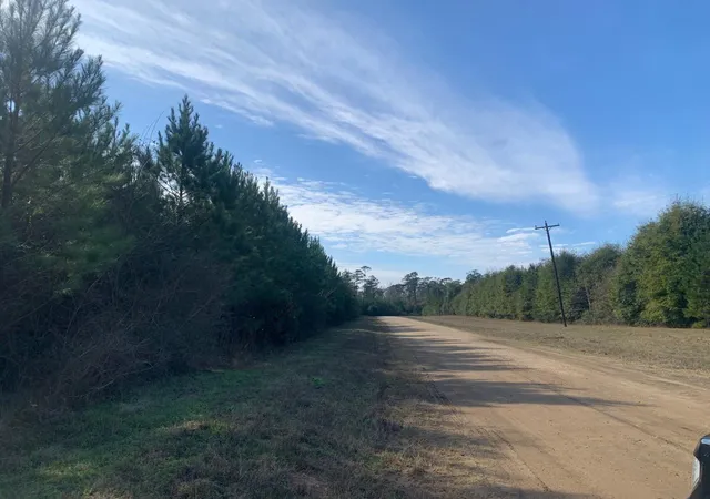 1st image of 0 Nursery Road, Livingston, TX 77351 | MLS# 79040438