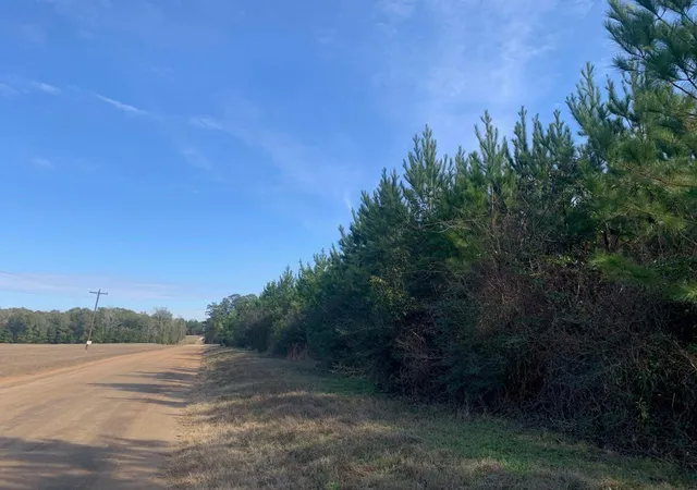 3rd image of 0 Nursery Road, Livingston, TX 77351 | MLS# 79040438