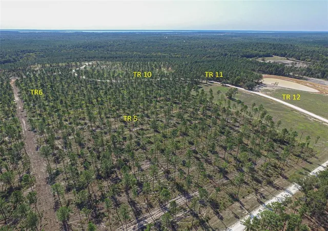 Photo 3 of Land for sale at 006 Nelson Dr, Livingston, TX 77351 | MLS# 64513518 | Listing updated on 2026-04-01