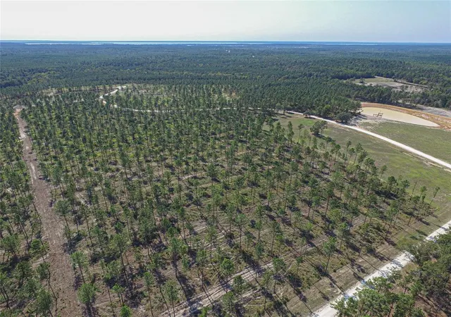 Photo 4 of Land for sale at 006 Nelson Dr, Livingston, TX 77351 | MLS# 64513518 | Listing updated on 2026-04-01