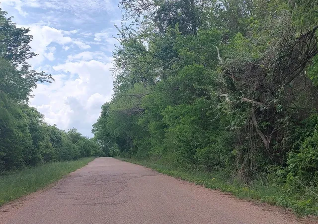 35th image of Tbd Cr 328, Tract 3, 10 Acres, Caldwell, TX 77836 | MLS# 77366994