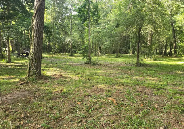 Photo 16 of Land for sale at 0 Tbd Hwy 150 W, Coldspring, TX 77331 | MLS# 4958917 | Listing updated on 2026-09-14