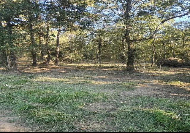 Photo 1 of Land for sale at 0 Tbd Hwy 150 W, Coldspring, TX 77331 | MLS# 4958917 | Listing updated on 2026-09-14