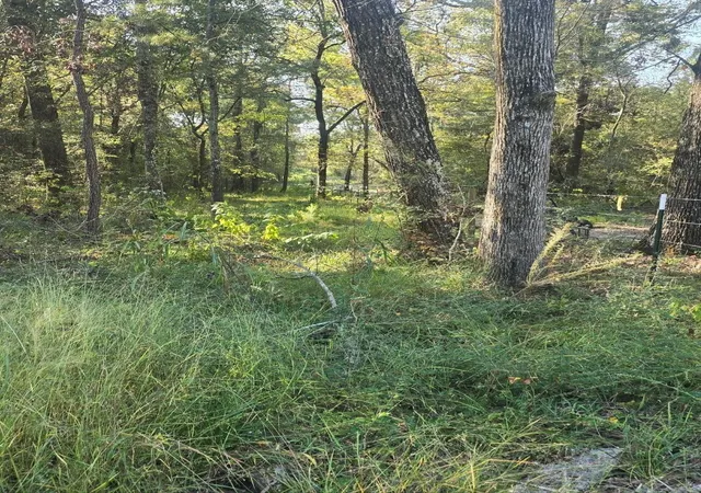 Photo 2 of Land for sale at 0 Tbd Hwy 150 W, Coldspring, TX 77331 | MLS# 4958917 | Listing updated on 2026-09-14