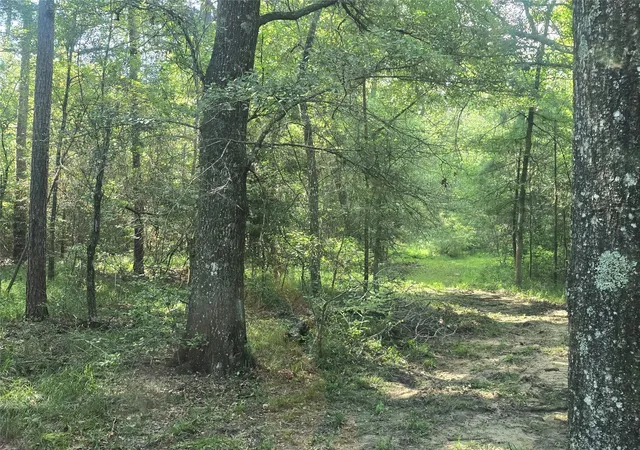 Photo 3 of Land for sale at 0 Tbd Hwy 150 W, Coldspring, TX 77331 | MLS# 4958917 | Listing updated on 2026-09-14
