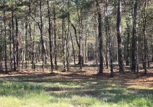 Photo 4 of Land for sale at 0 Tbd Hwy 150 W, Coldspring, TX 77331 | MLS# 4958917 | Listing updated on 2026-09-14