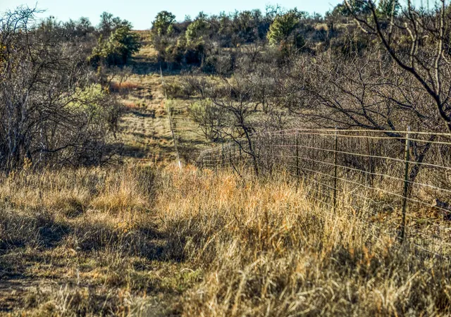 Photo 4 of Land for sale at 2387 Fm 503, Coleman, TX 76834 | MLS# 71859552 | Listing updated on 2026-03-10