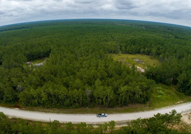 2nd image of Tbd Carter Ranch Road, Kountze, TX 77625 | MLS# 88887534