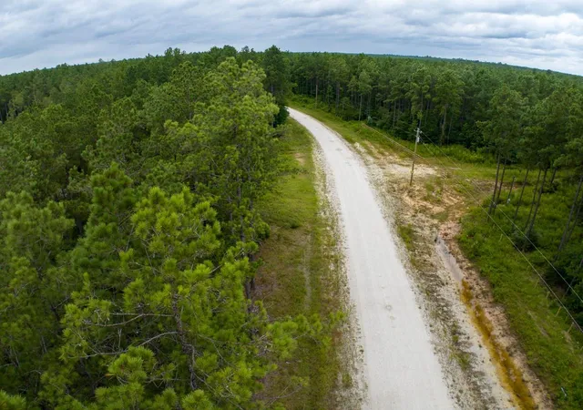 Photo 3 of Land for sale at Tbd Carter Ranch Rd, Kountze, TX 77625 | MLS# 88887534 | Listing updated on 2026-08-07