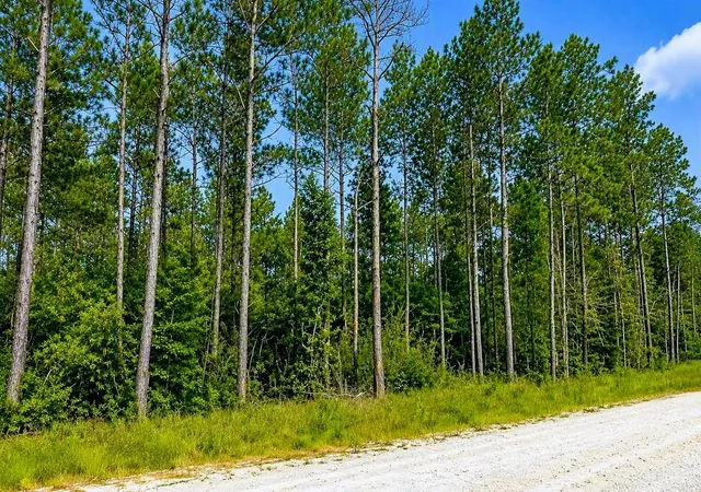 Photo 3 of Land for sale at Tbd Carter Ranch Rd, Kountze, TX 77625 | MLS# 88887534 | Listing updated on 2026-08-07