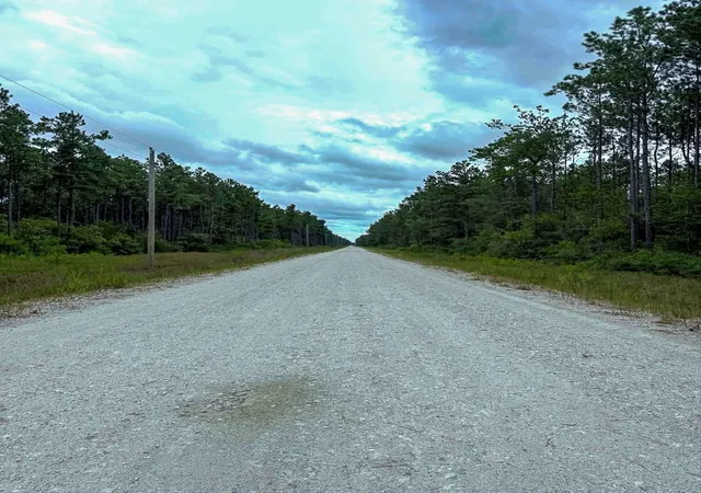9th image of Tbd Carter Ranch Road, Kountze, TX 77625 | MLS# 88887534