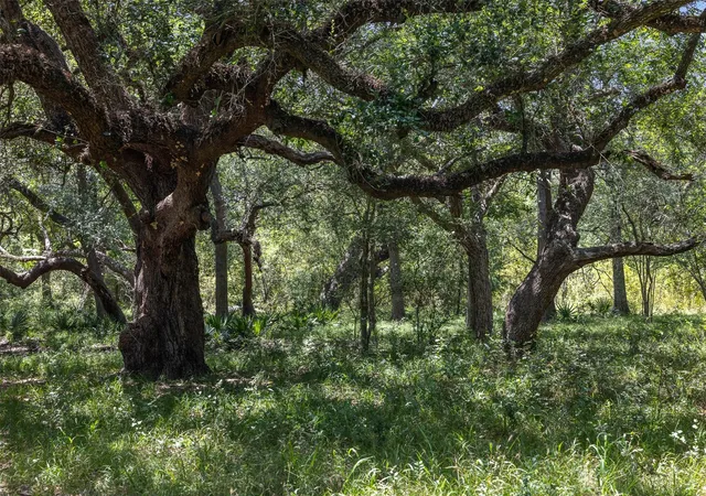 Photo 3 of Land for sale at 1219 Hattermann Ln, Weimar, TX 78962 | MLS# 85155045 | Listing updated on 2026-08-24
