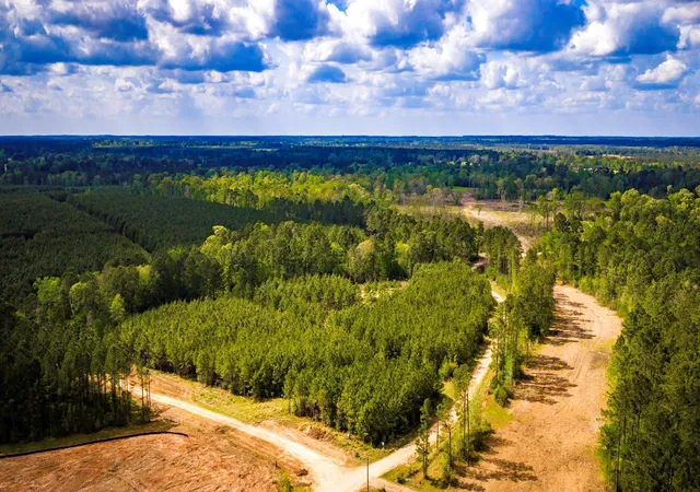 16th image of 0 Jimbo Nettles Rd, Livingston, TX 77351 | MLS# 83358238