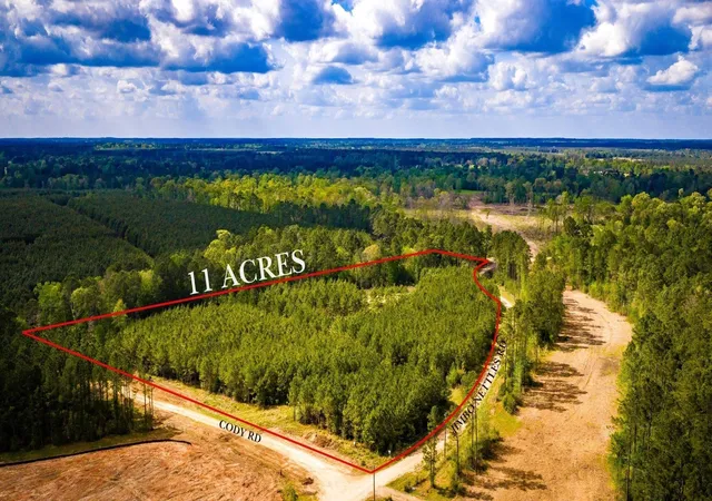 1st image of 0 Jimbo Nettles Rd, Livingston, TX 77351 | MLS# 83358238