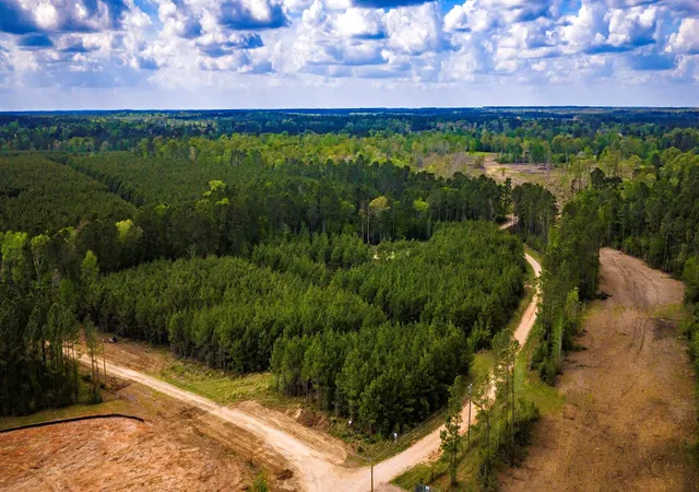 3rd image of 0 Jimbo Nettles Rd, Livingston, TX 77351 | MLS# 83358238