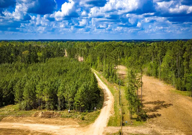 5th image of 0 Jimbo Nettles Rd, Livingston, TX 77351 | MLS# 83358238
