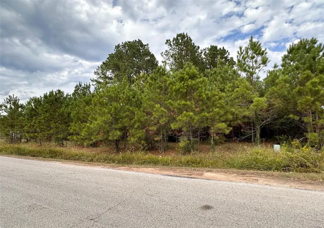Photo 2 of Land for sale at 3116 County Rd 3479b, Cleveland, TX 77327 | MLS# 64213915 | Listing updated on 2026-09-24