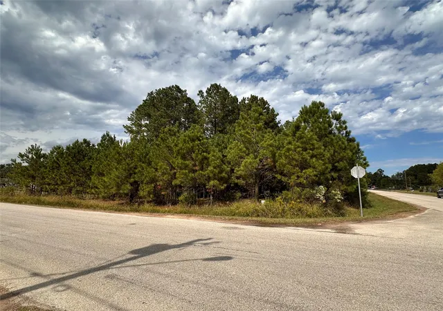 Photo 3 of Land for sale at 3116 County Rd 3479b, Cleveland, TX 77327 | MLS# 64213915 | Listing updated on 2026-09-24