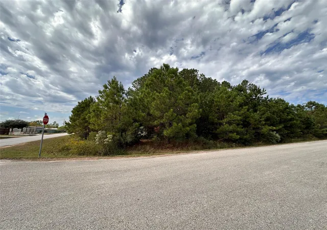 Photo 3 of Land for sale at 3116 County Rd 3479b, Cleveland, TX 77327 | MLS# 64213915 | Listing updated on 2026-09-24