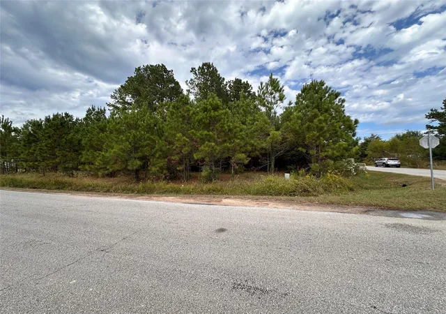 Photo 4 of Land for sale at 3116 County Rd 3479b, Cleveland, TX 77327 | MLS# 64213915 | Listing updated on 2026-09-24