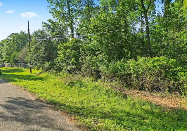 Photo 9 of Land for sale at 0 Arrowhead Dr, Montgomery, TX 77316 | MLS# 45954930 | Listing updated on 2026-04-16