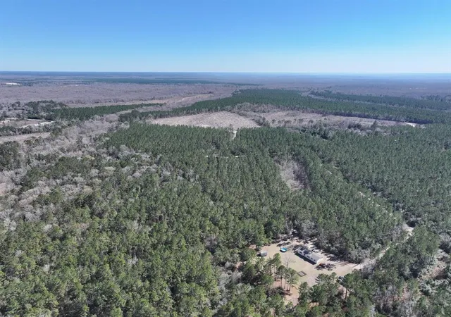 Homes for sale in Bon Wier, TX | 422 County Road 4088, Bon Wier, TX 75928 | MLS# 38811642