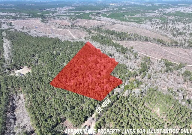 Homes for sale in Bon Wier, TX | 422 County Road 4088, Bon Wier, TX 75928 | MLS# 38811642